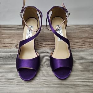 Womens elegant Purple Shoe and bag combo